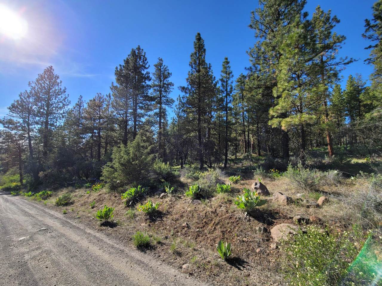 00 Badger Lane - Photo 1