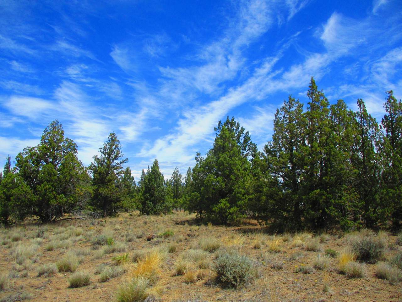 TL2200 Cayuse Road - Photo 1