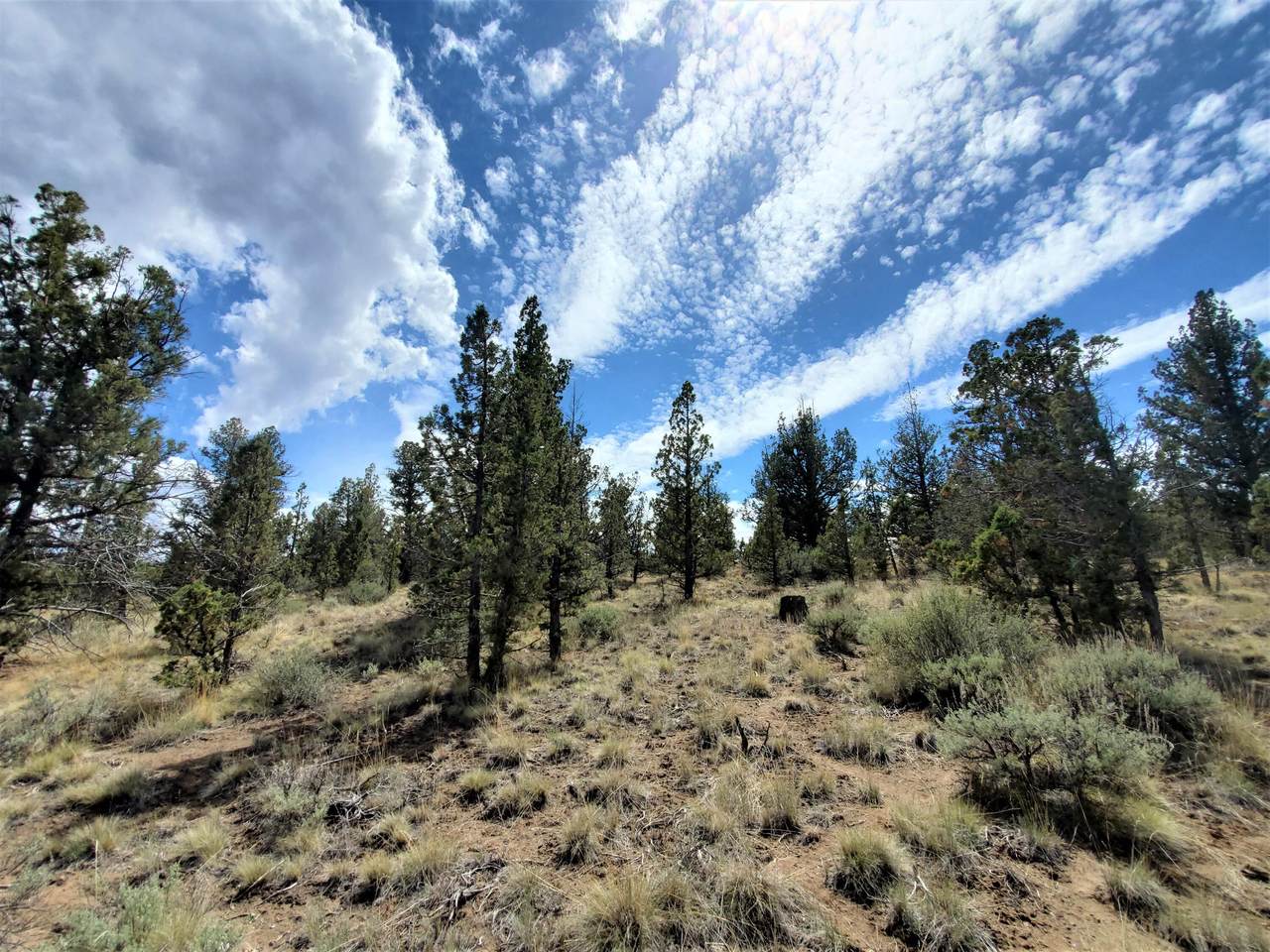 TL 4300 Weatherby Loop - Photo 1