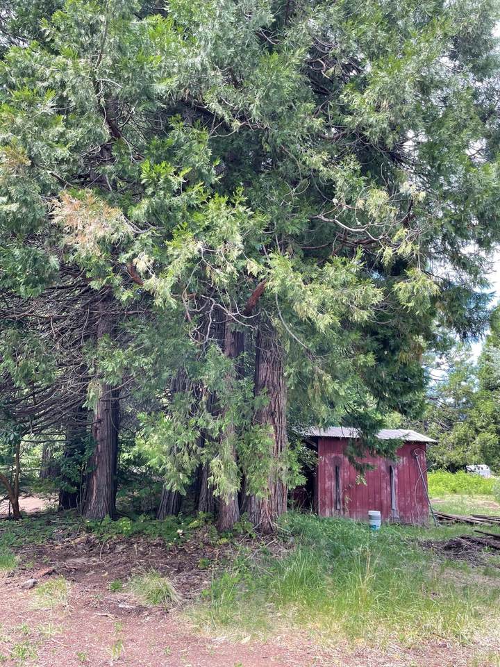 630 Butte Falls- Prospect Road - Photo 1