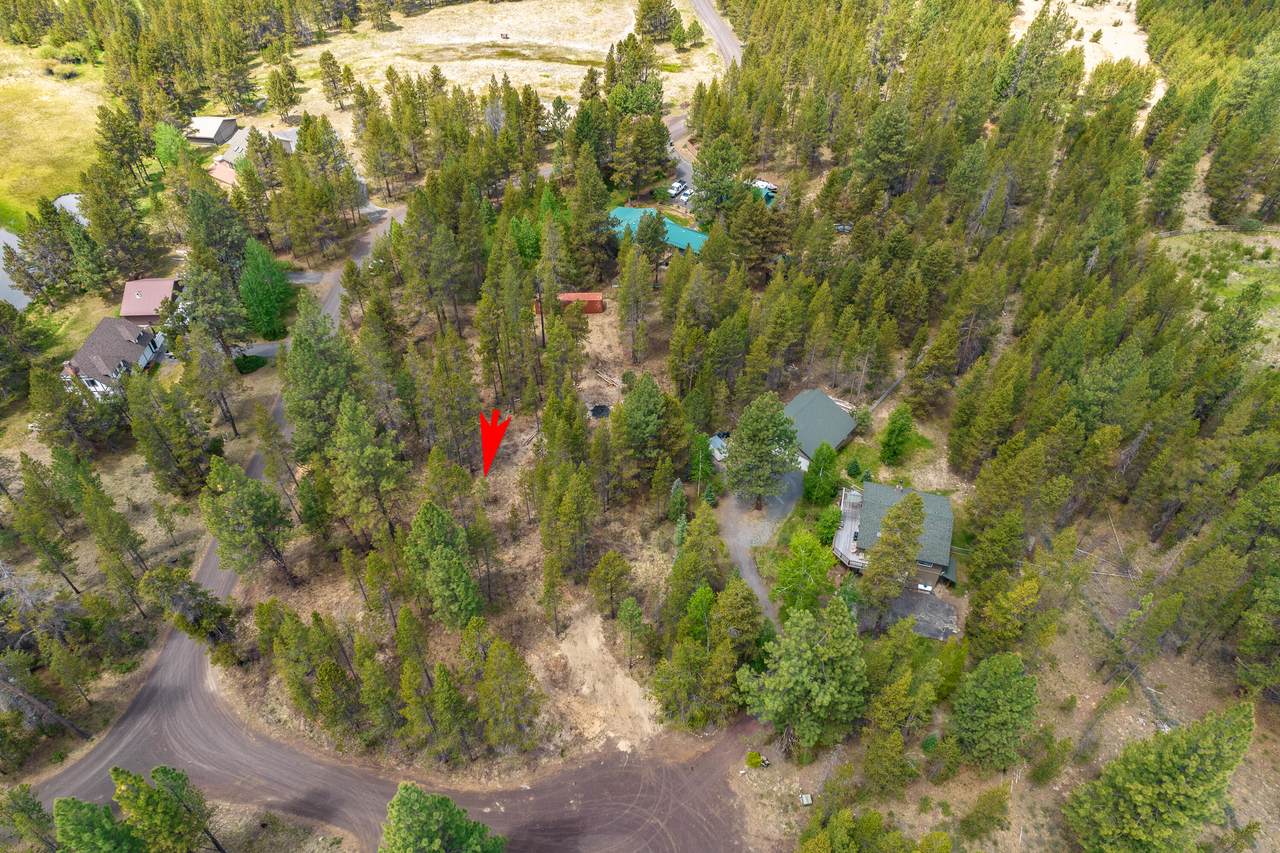 17008 Sharp Drive - Photo 1