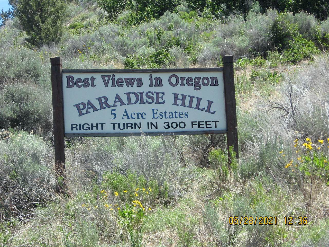 40 Peregrine Heights - Photo 1