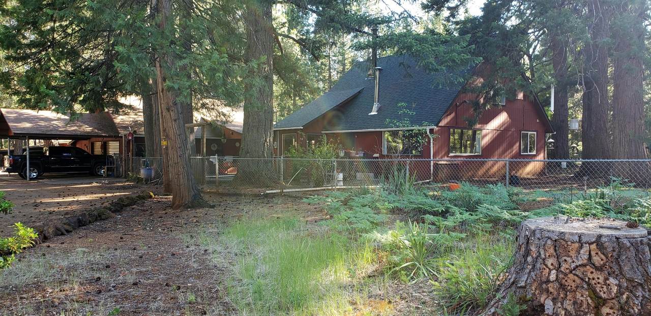 1200 Rough And Ready Creek Road - Photo 1