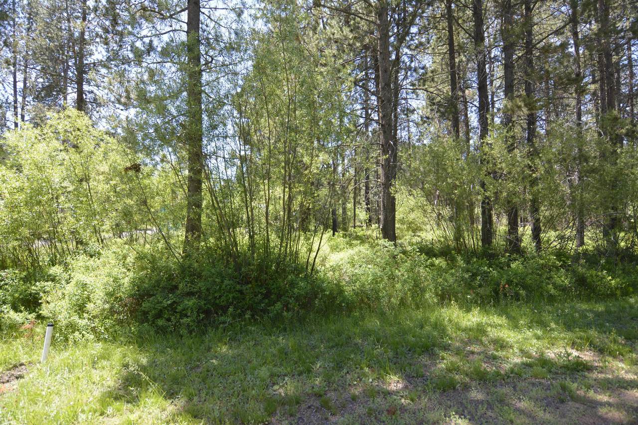 55353 Heierman Drive - Photo 1