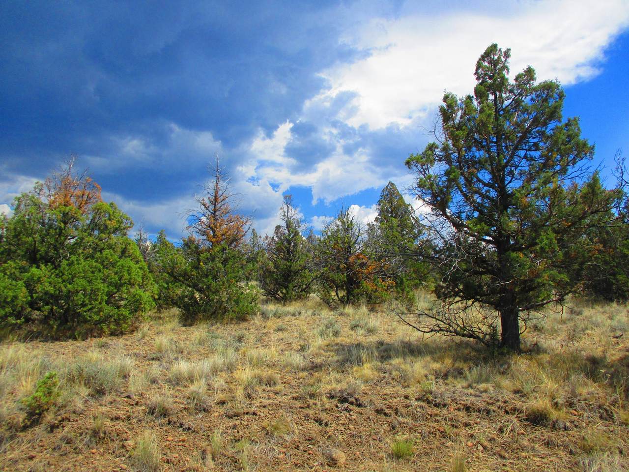 TL2400 Remington Road - Photo 1
