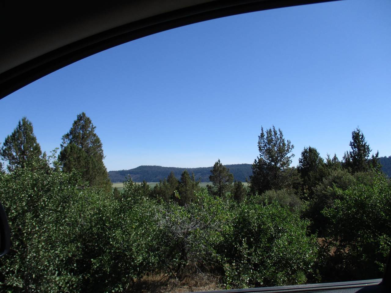 #996 Crossbill Drive - Photo 1