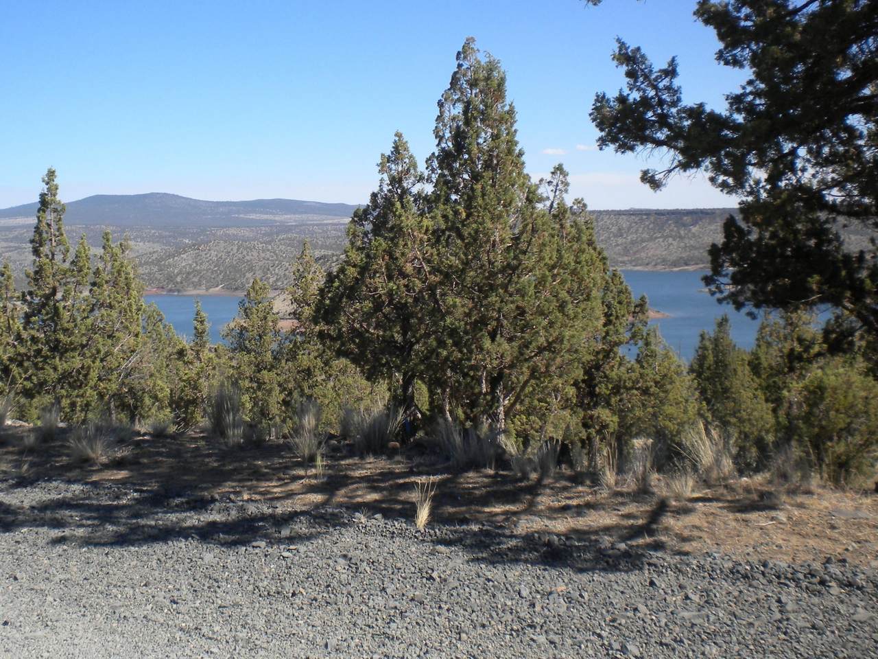 TL - 01800 Gentian Way - Photo 1