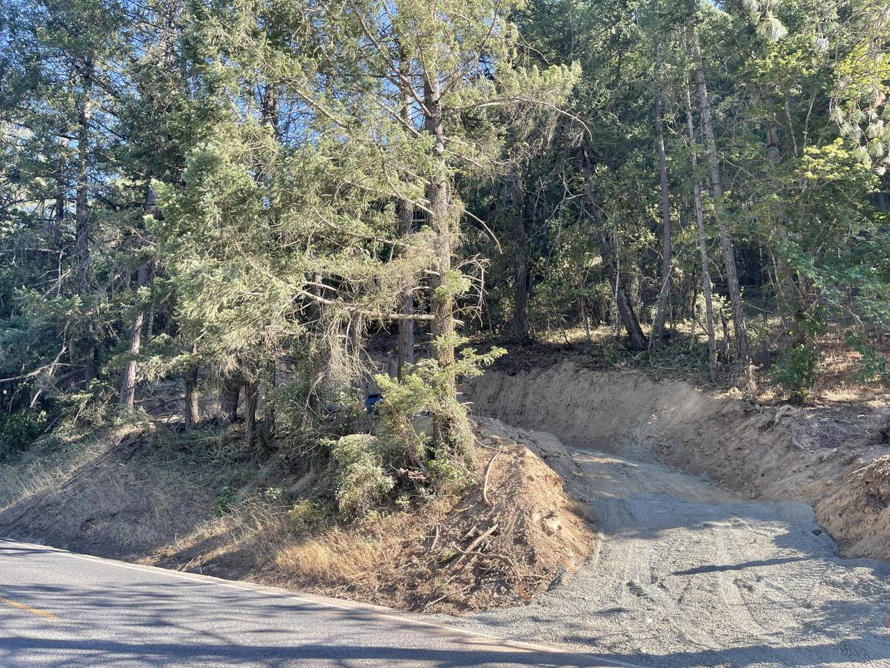 0 Williams Highway - Photo 1