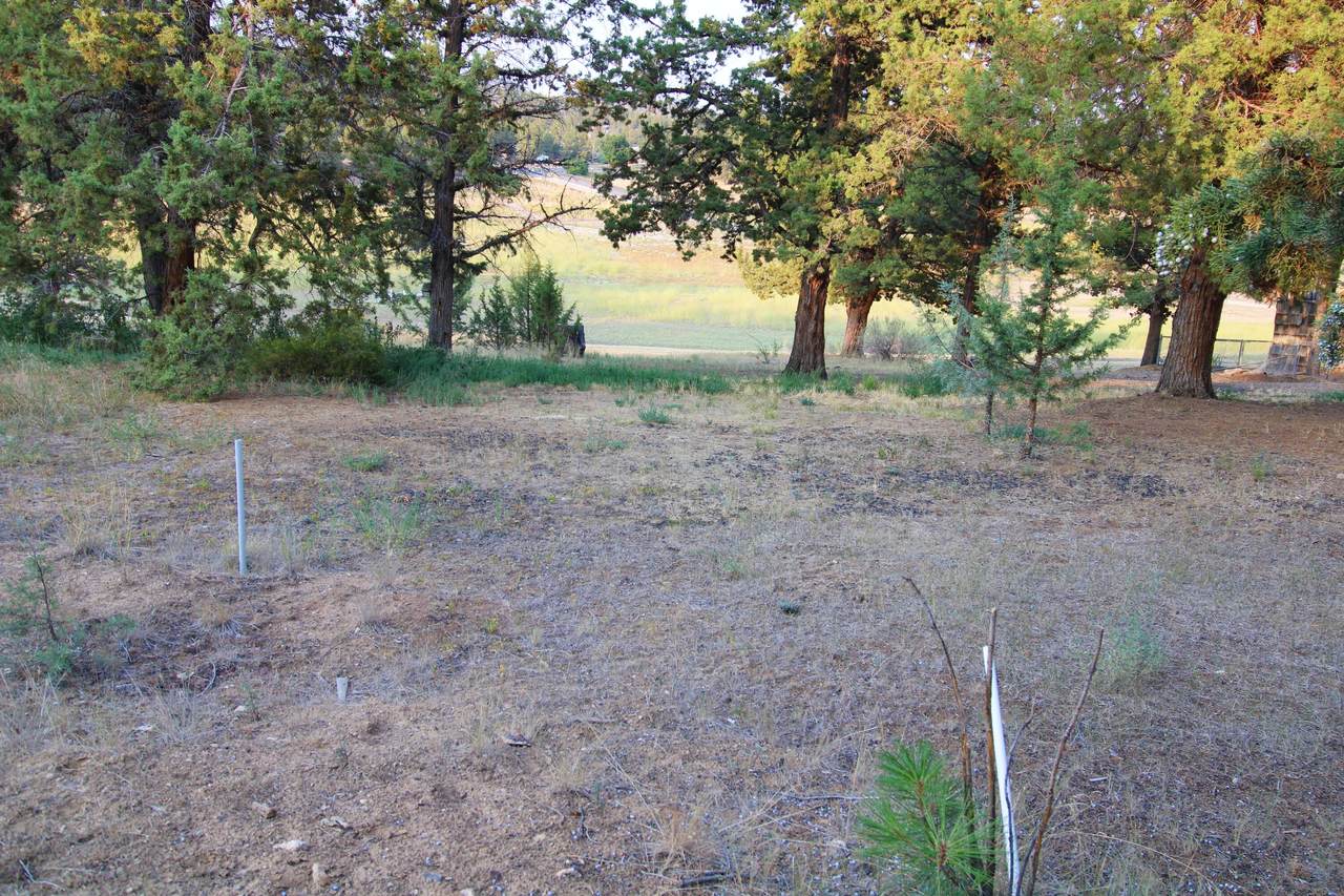 TL00206 Lakefront Lane - Photo 1