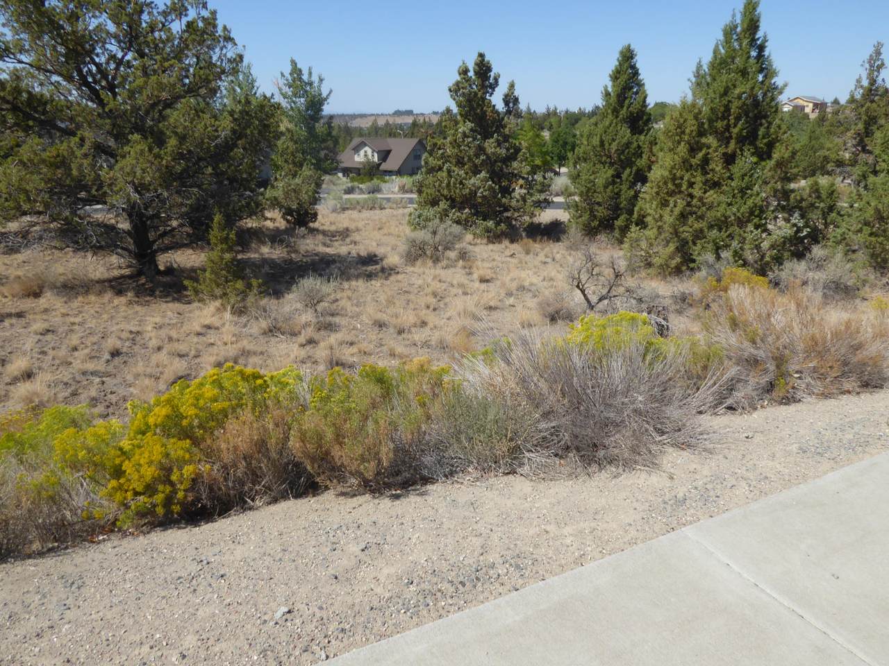 356 Manzanita Drive - Photo 1