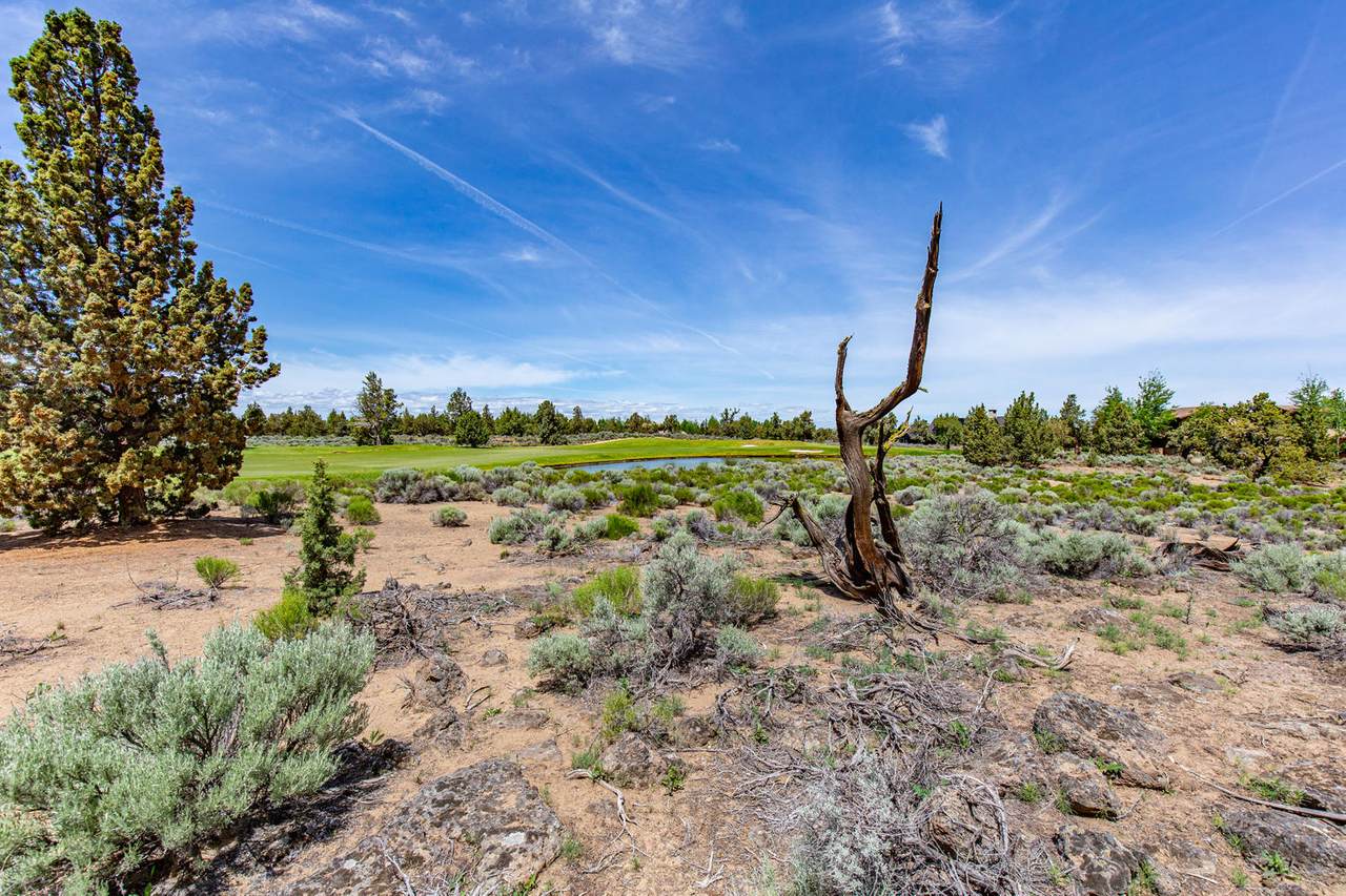 65845-Lot 44 Pronghorn Estates Drive - Photo 1