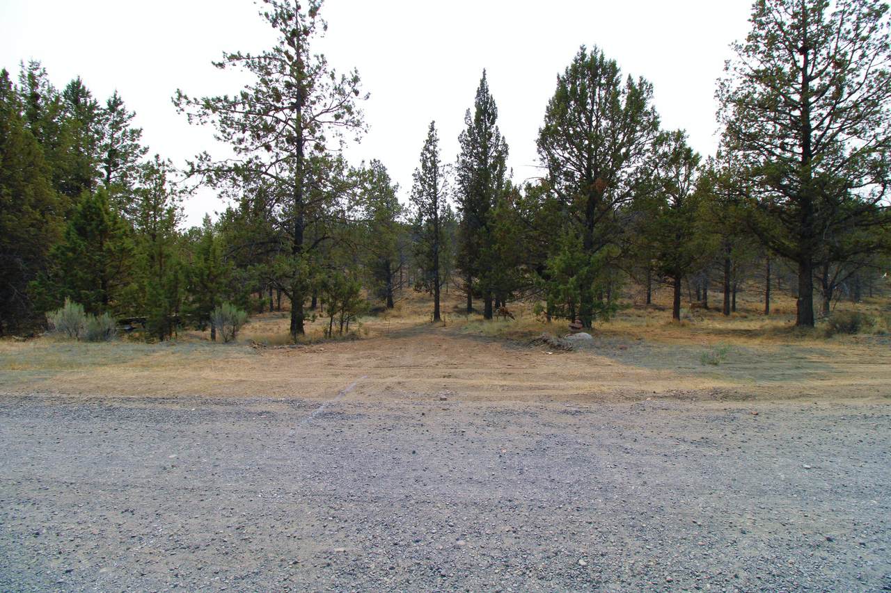 TL5100 Huston Avenue - Photo 1
