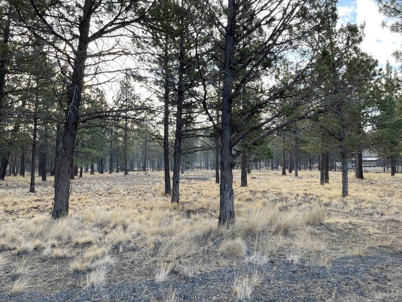 70178 Cayuse Place - Photo 1