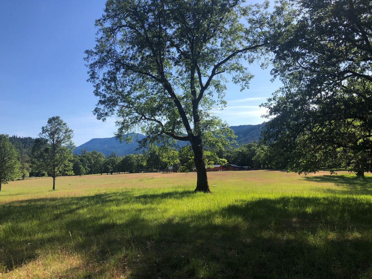 5477 Pleasant Creek Road - Photo 1