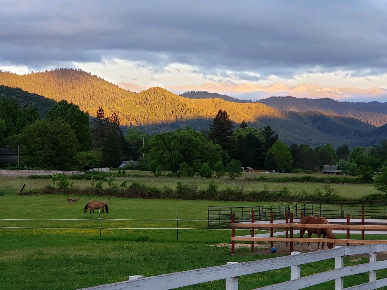 5465 Rogue River Highway - Photo 1