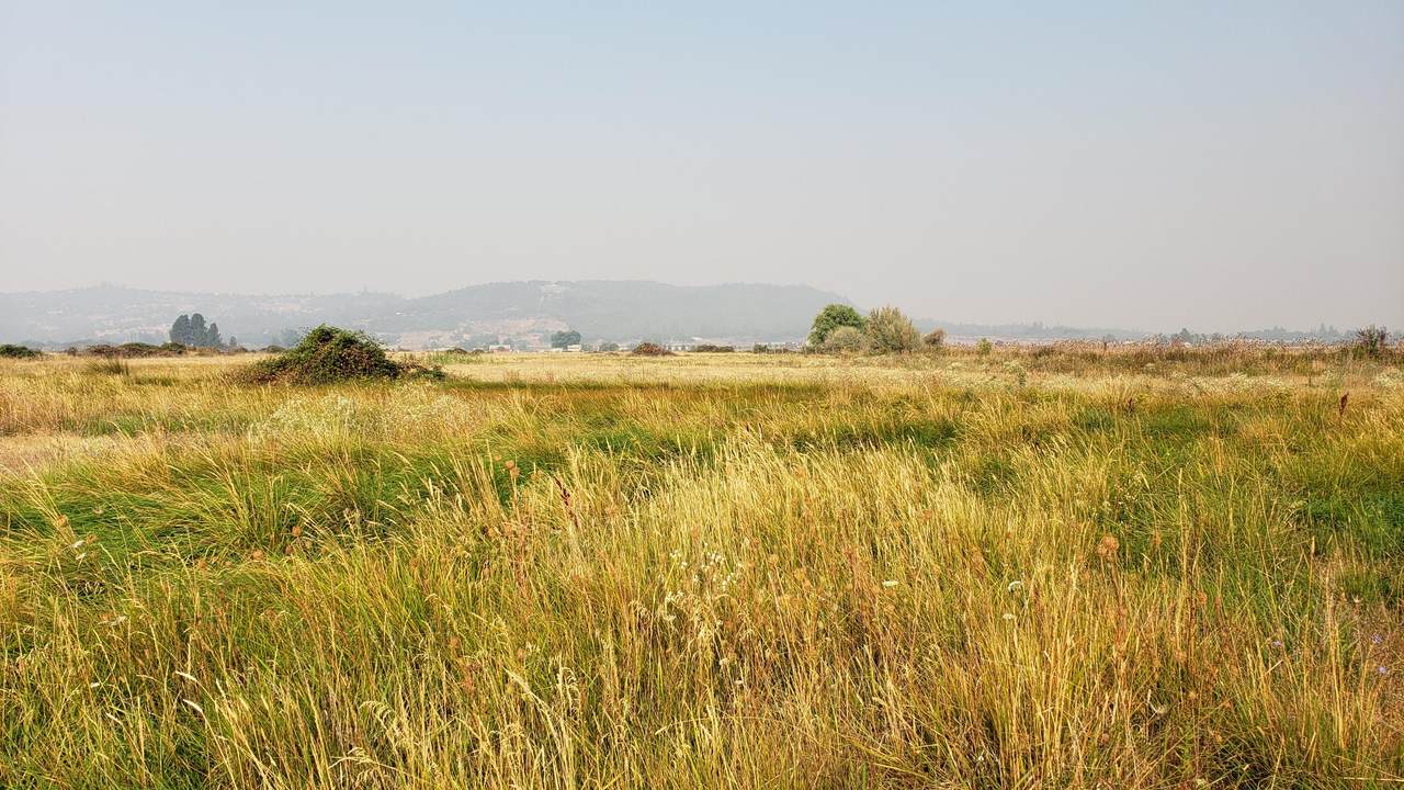 TL 1401 Reese Creek - Photo 1