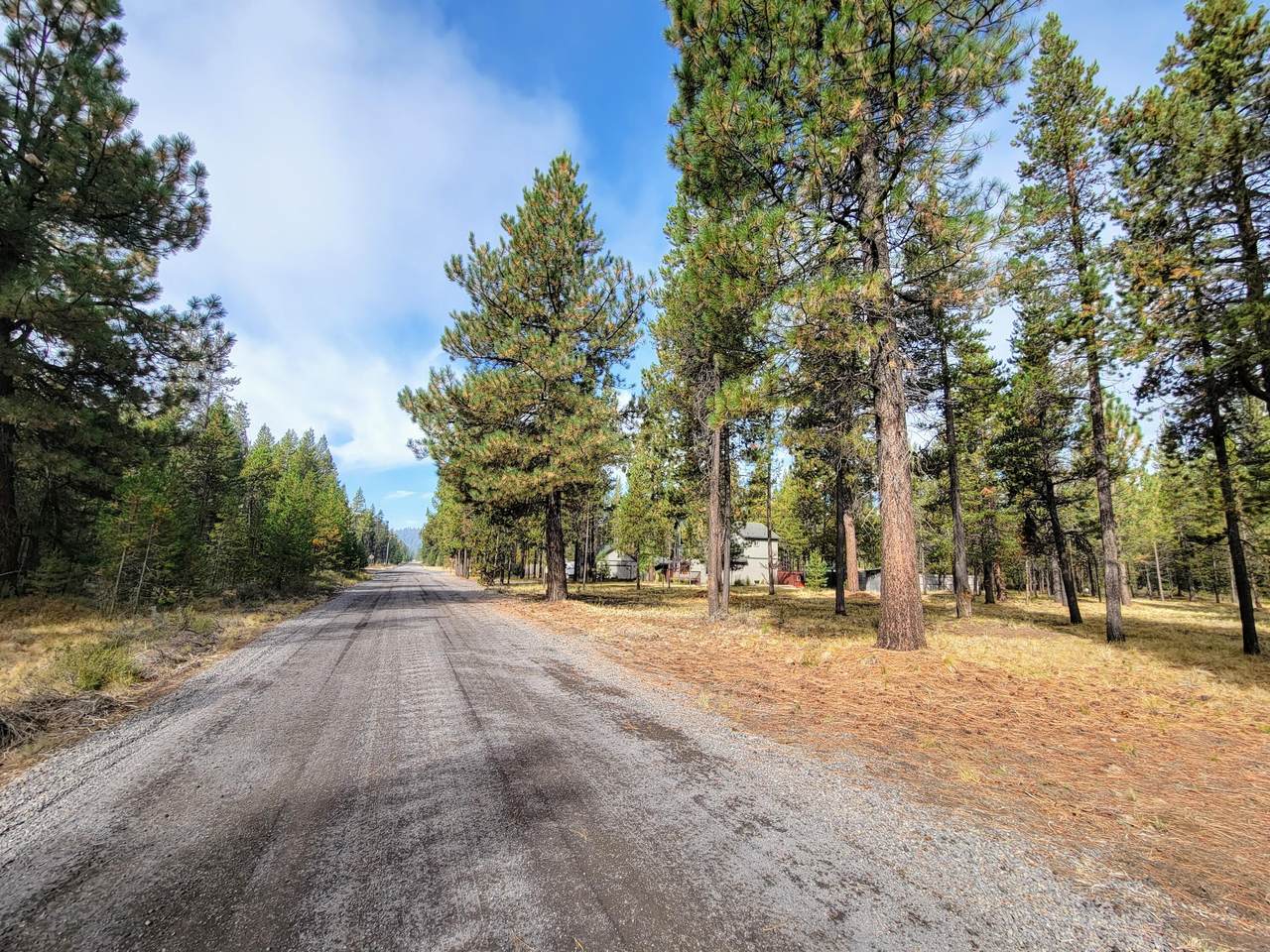 17220 Elsinore Road - Photo 1