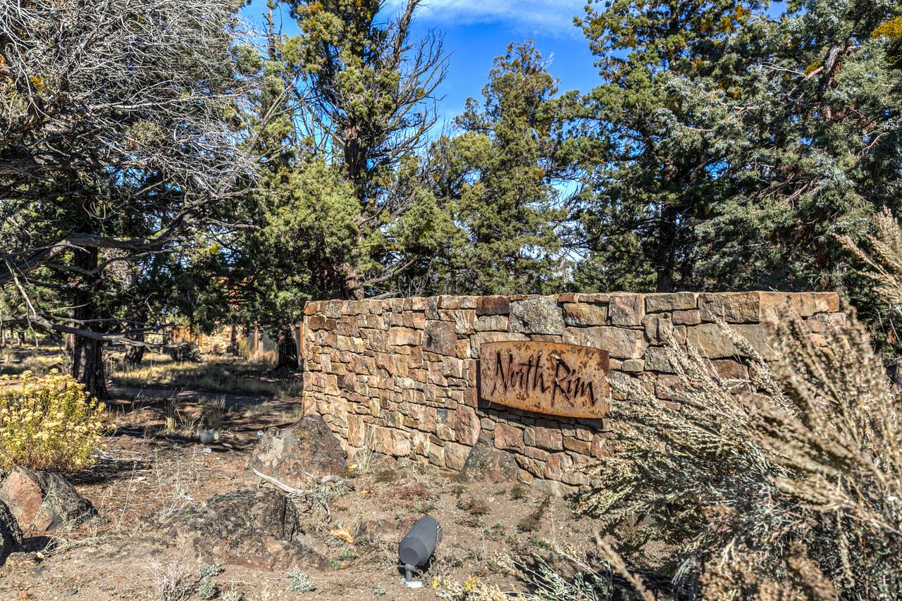 1473 Puccoon Court - Photo 1