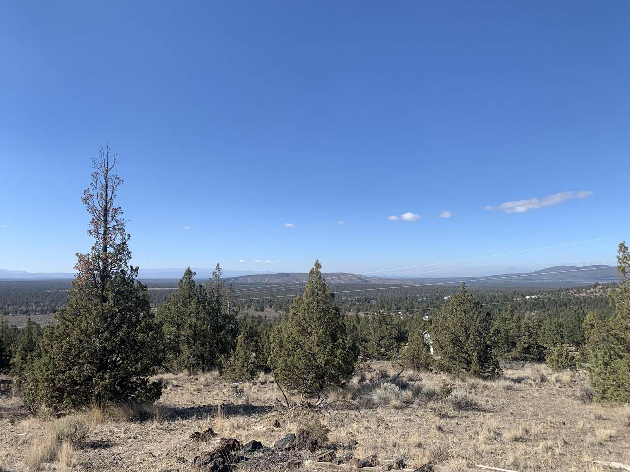 TL 1000 Indian Lane - Photo 1