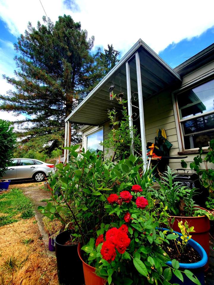 6407 May Street - Photo 1