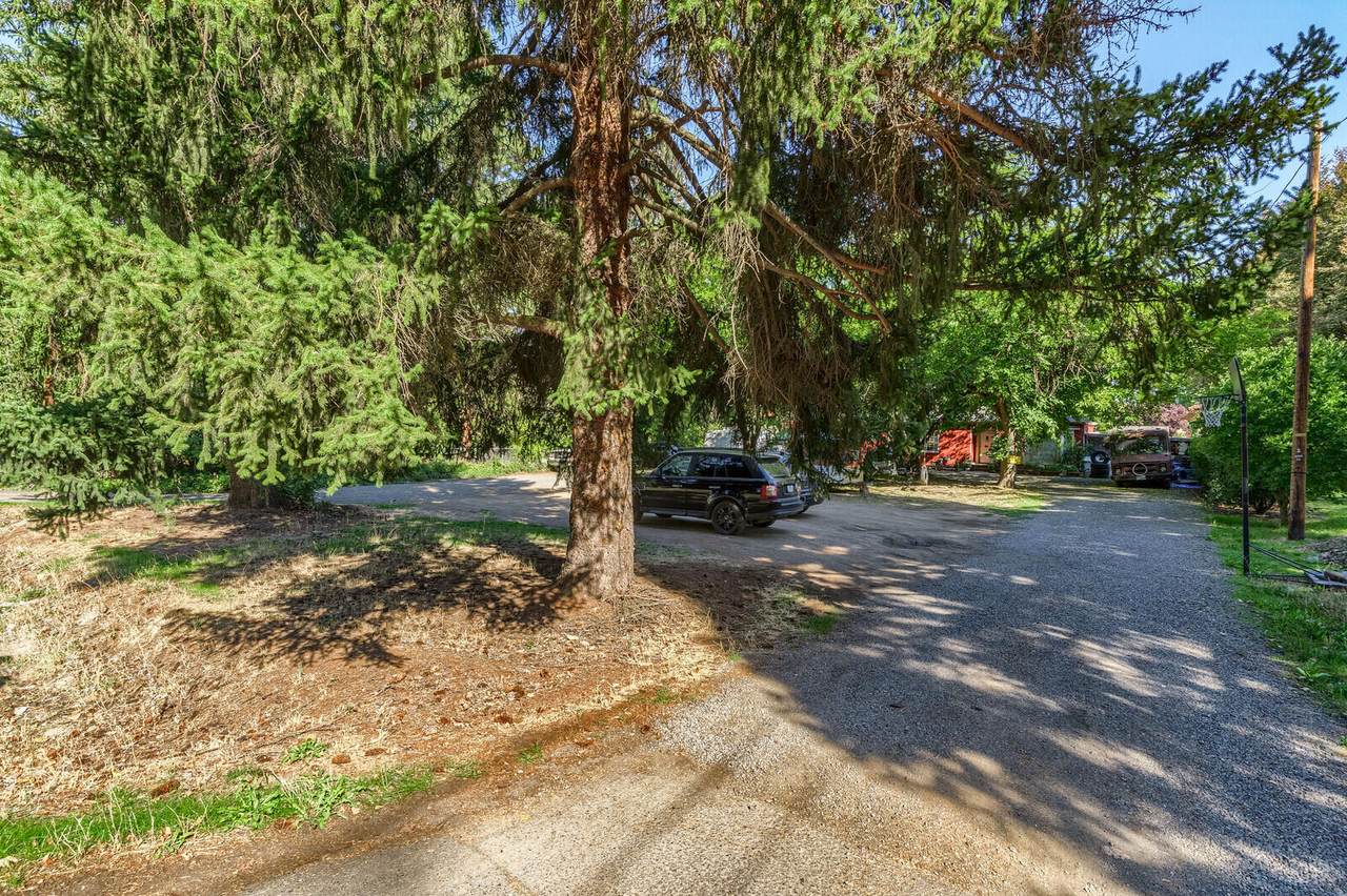 1351 Kings Highway - Photo 1