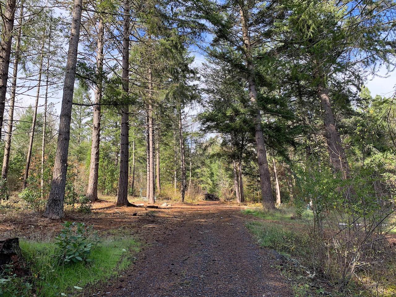 7300 Redwood Highway - Photo 1