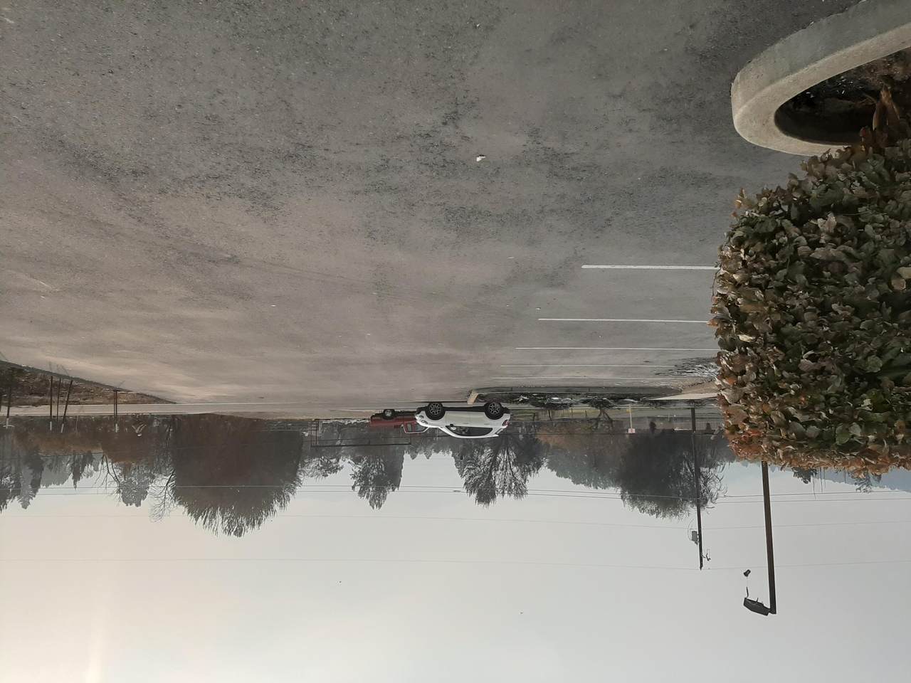 361 Pacific Highway - Photo 1