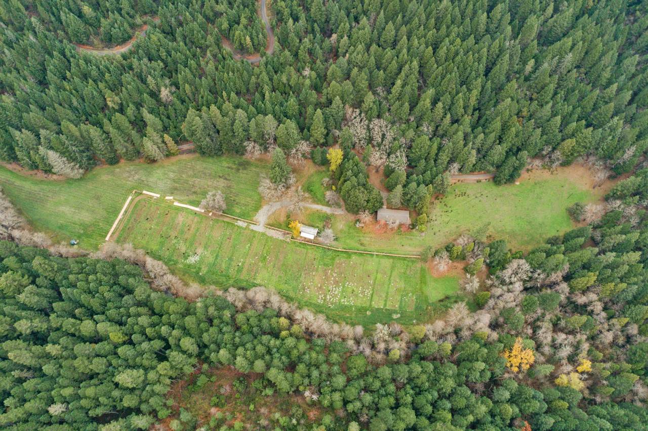 2639 Cheney Creek Road - Photo 1