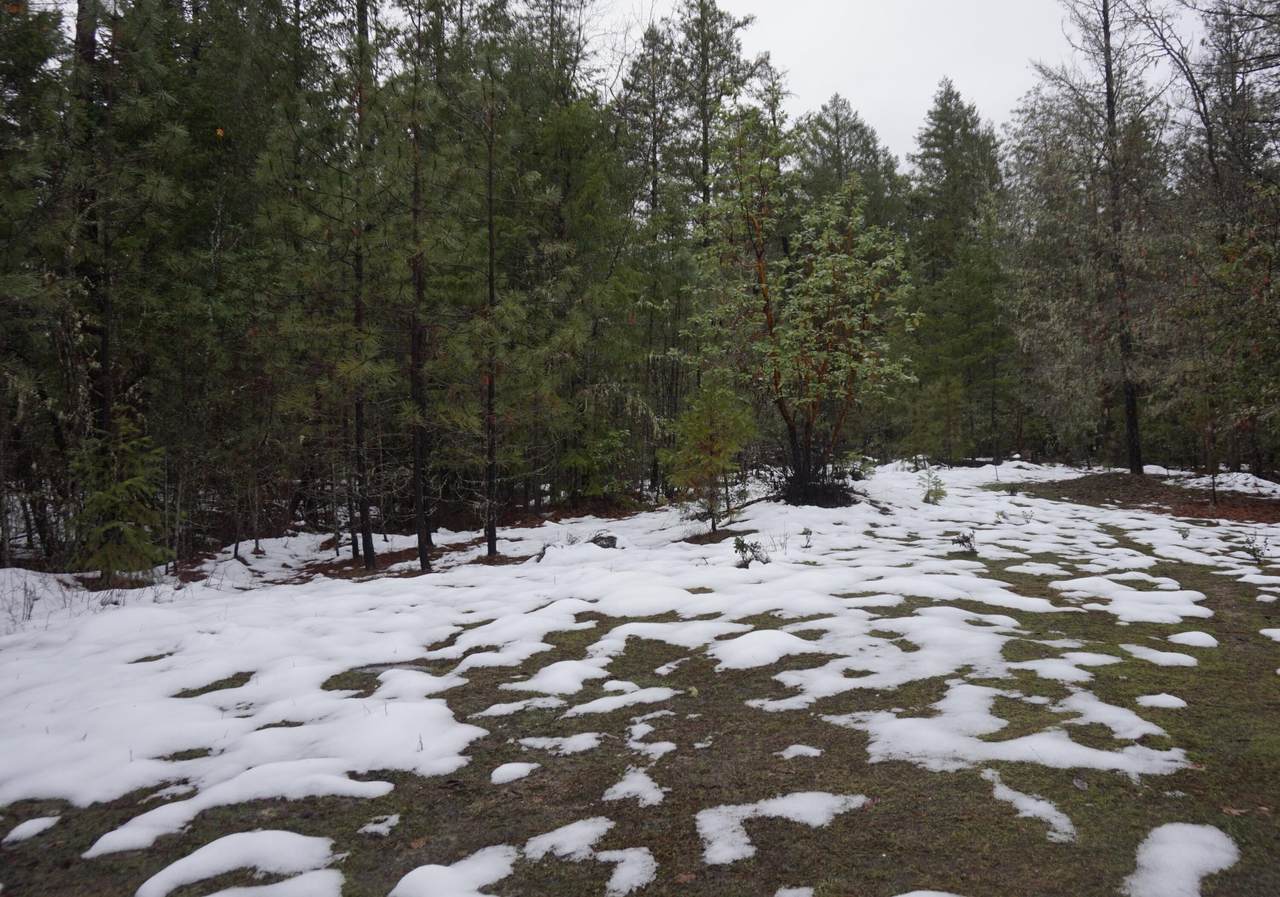 Evans Creek Road - Photo 1