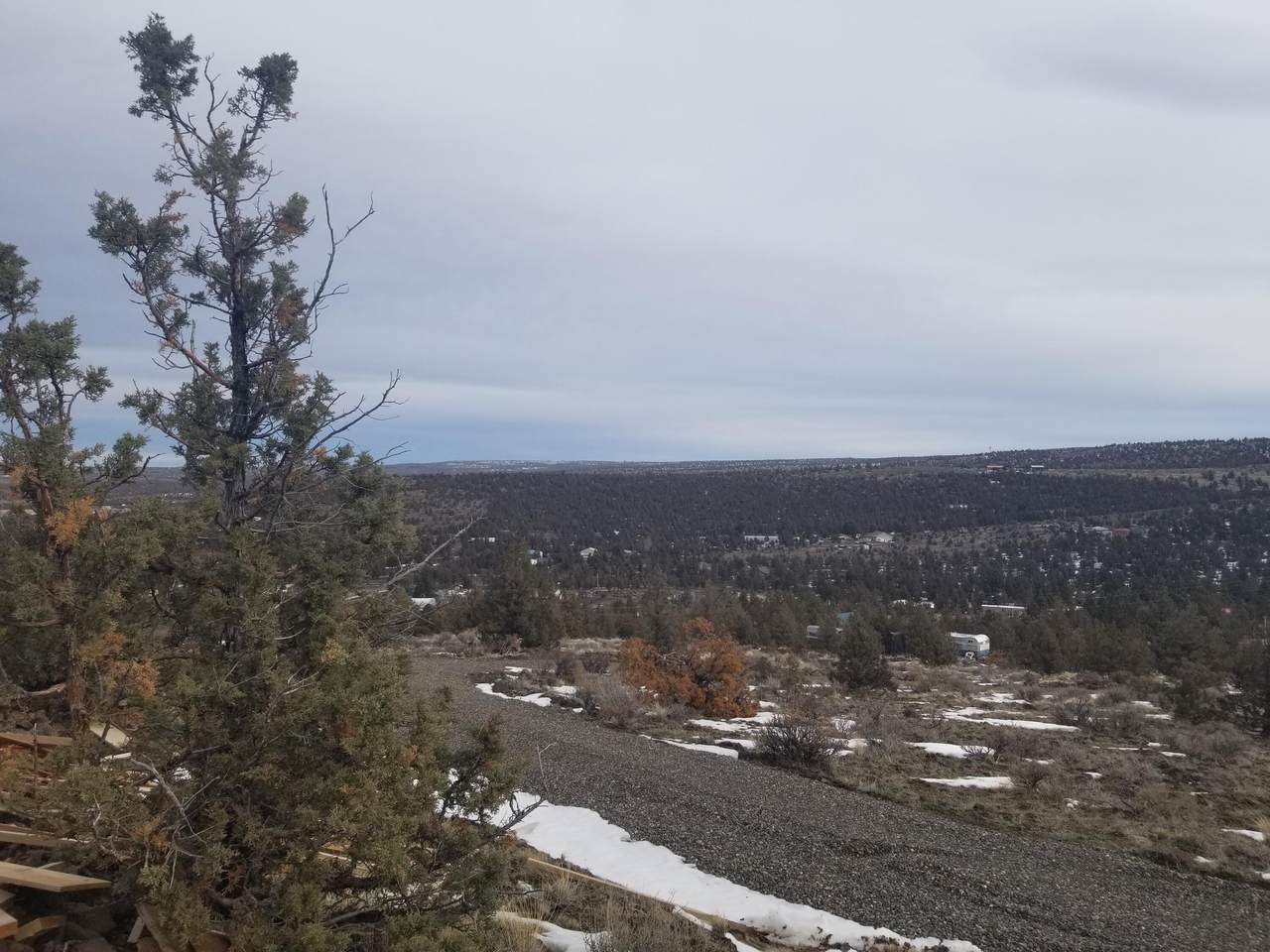 TL 2100 Winchester Loop - Photo 1