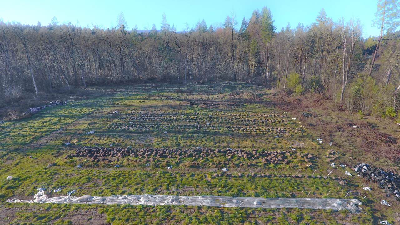 7902 Takilma Road - Photo 1