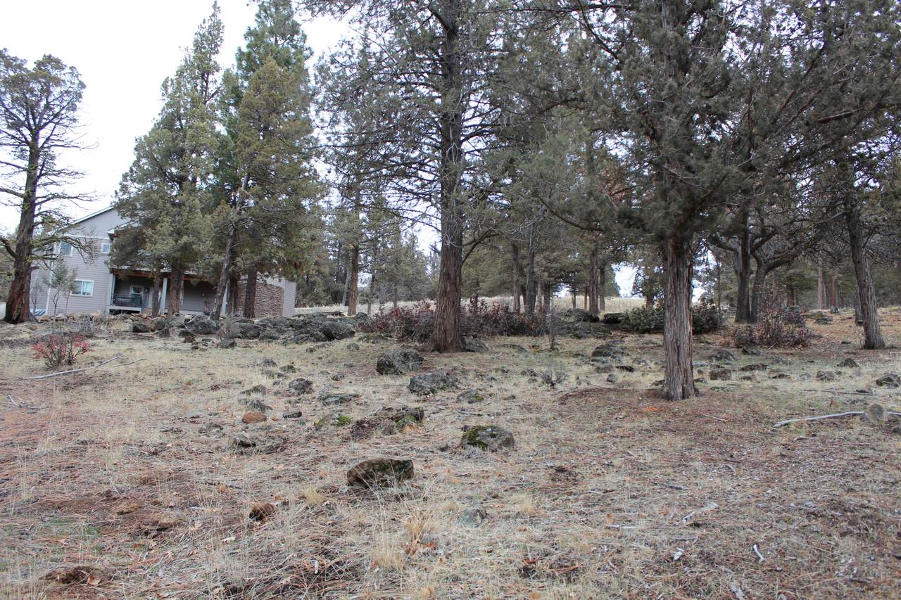 Lot 267 Coopers Hawk - Photo 1