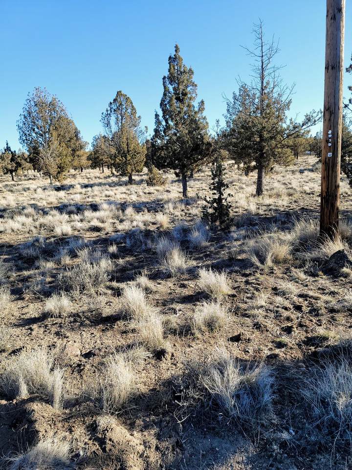 5064 Pawnee Loop - Photo 1