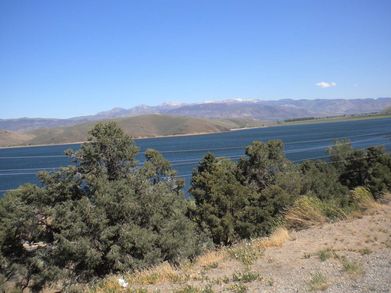 TL - 01800 Gentian Way - Photo 1