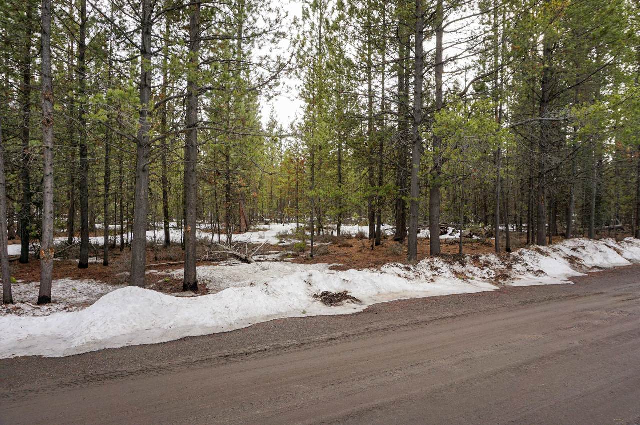 15785 Shellie Lane - Photo 1