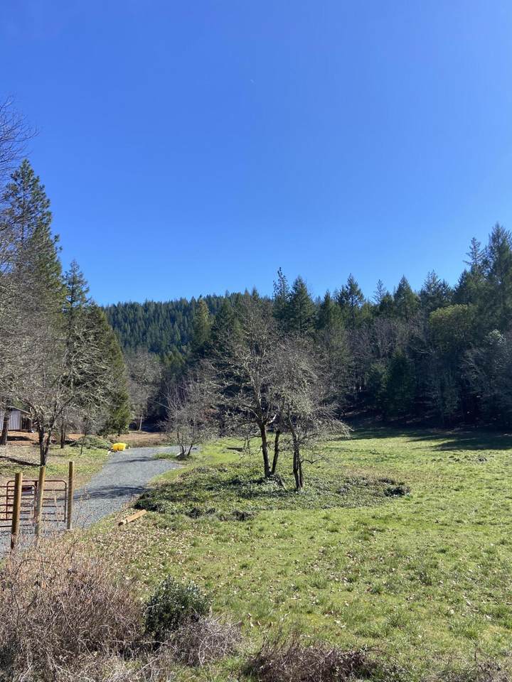 101 Mcmullen Creek Road - Photo 1