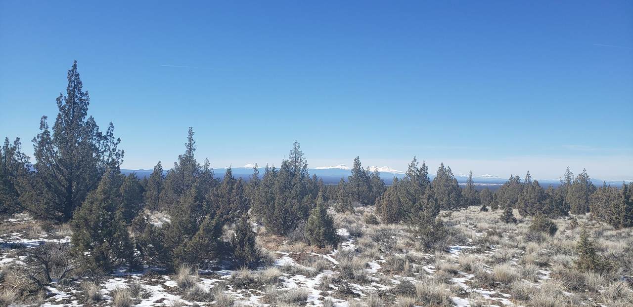 TBD-Lot 4800 Acacia Lane - Photo 1