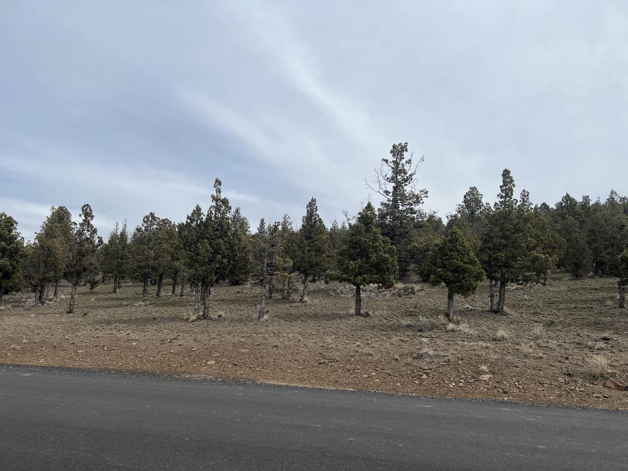 13010 Ethan Loop - Photo 1