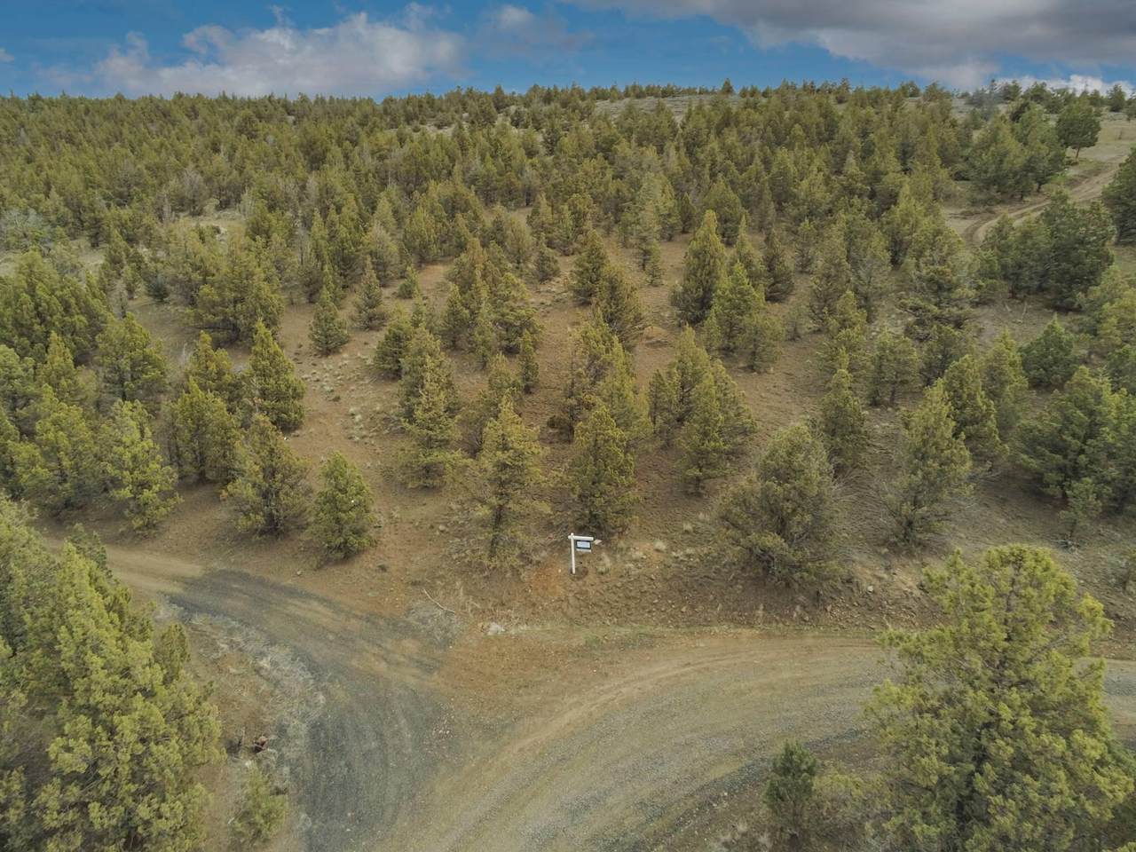 13991 Deringer Loop - Photo 1