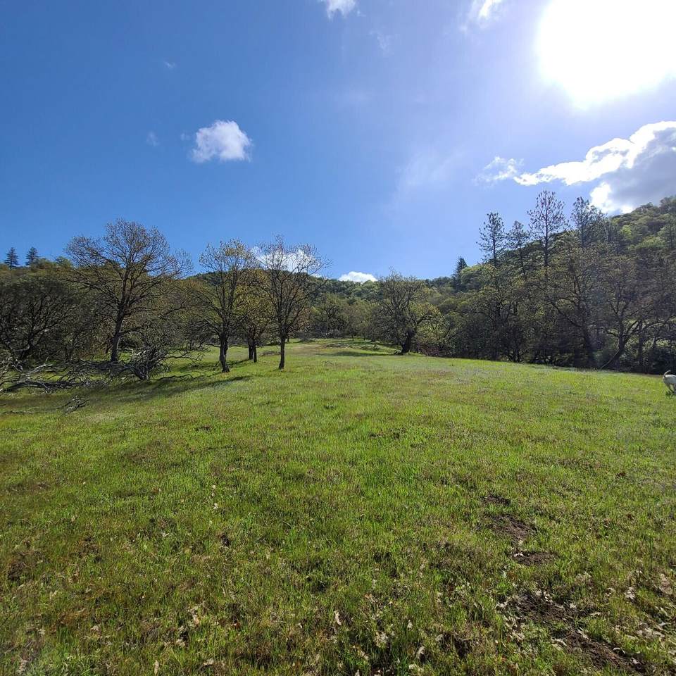 Upper River Tax Lot 200 Road - Photo 1