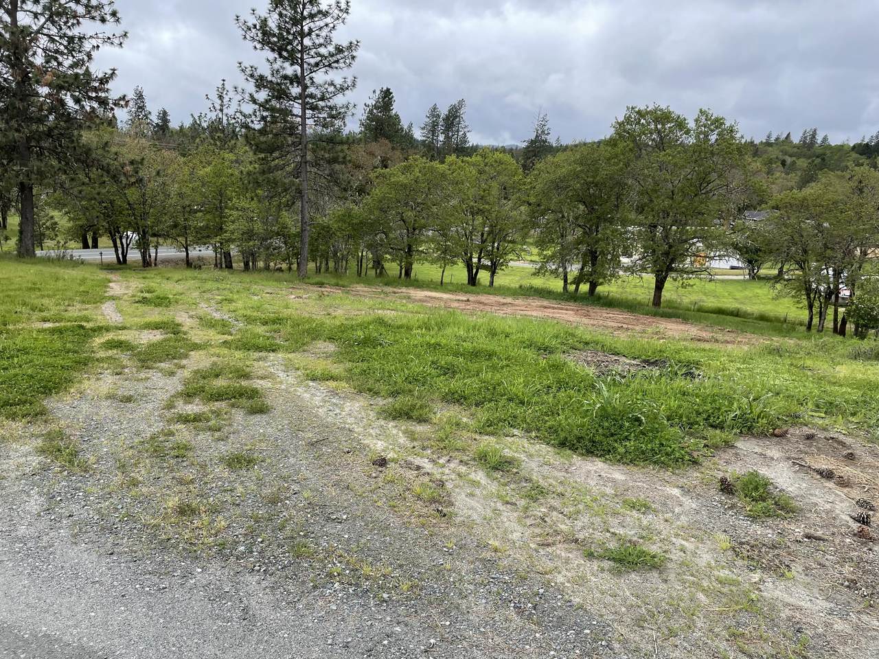 709 Three Pines Road - Photo 1