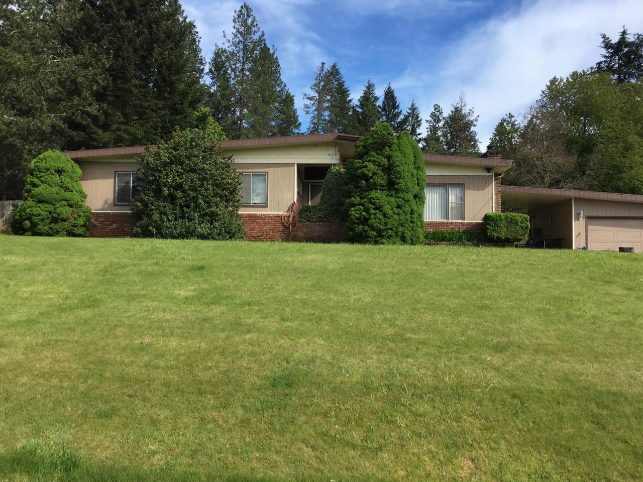 201 Smokey Lane - Photo 1