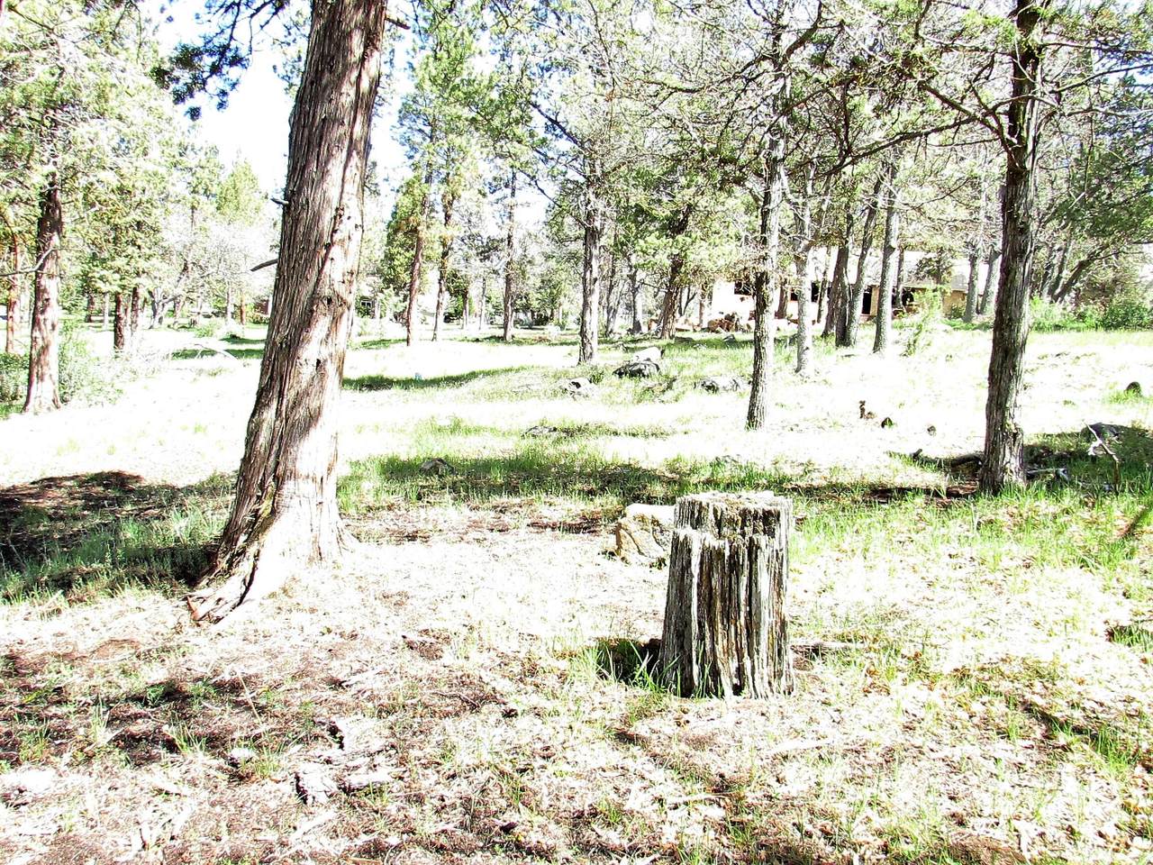 Lot 259 Coopers Hawk Road - Photo 1