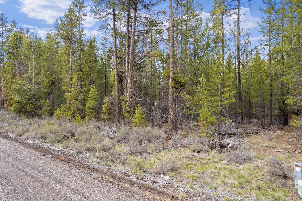 16852 Elsinore Road - Photo 1
