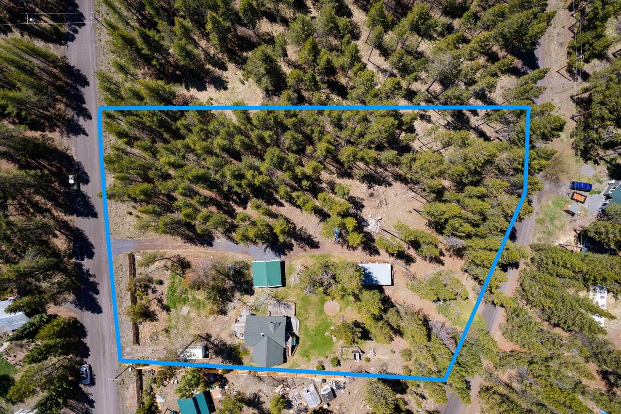 17053 Island Loop Way - Photo 1