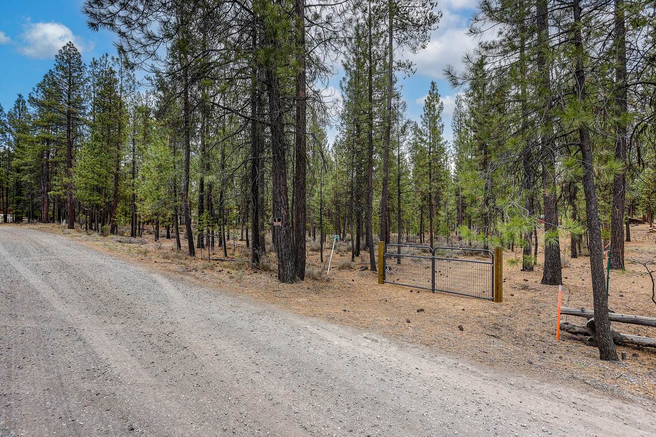 51873 Pine Loop Drive - Photo 1