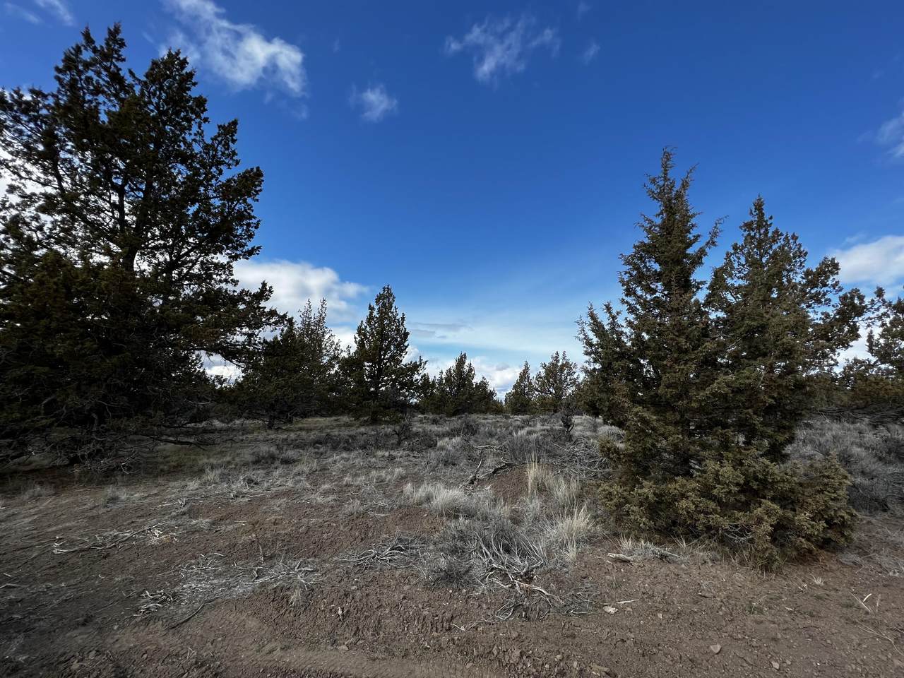 TL 5094 Wilderness Road - Photo 1