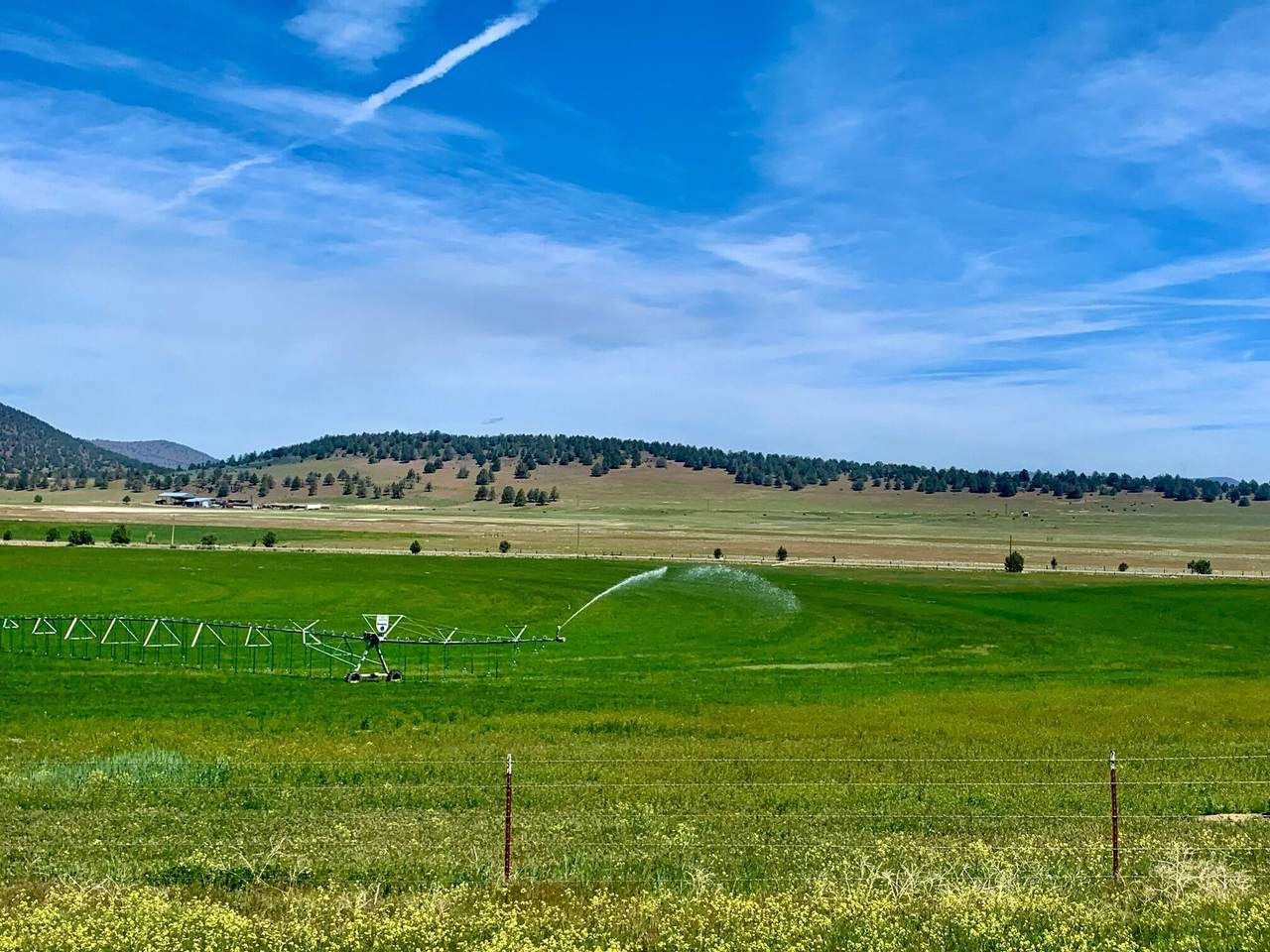 Sheepy Creek Road - Photo 1
