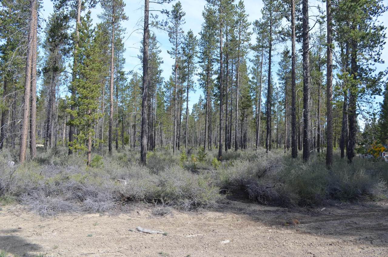 TL2302 Crescent Cutoff Road - Photo 1