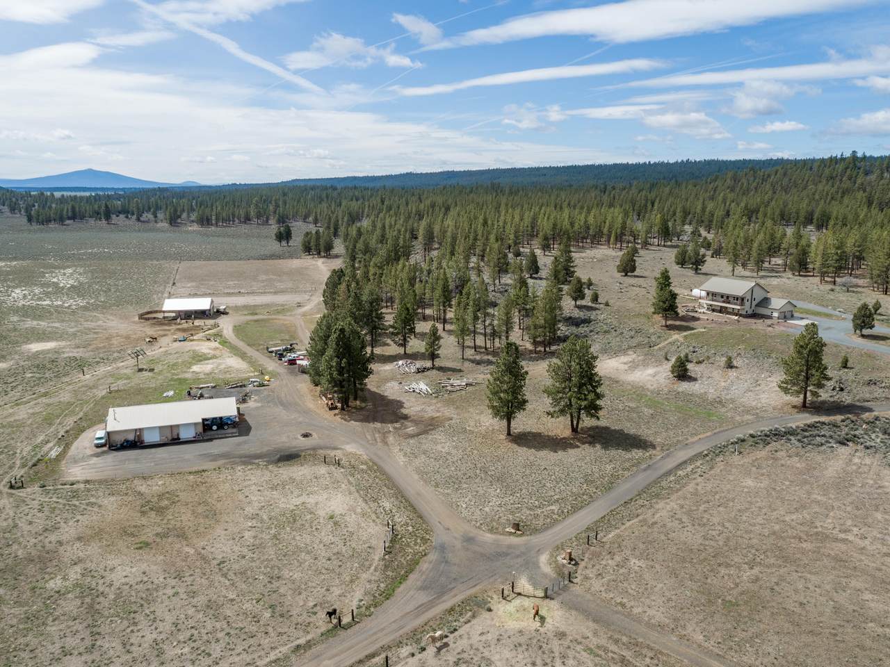 71844 Highway 31 - Photo 1